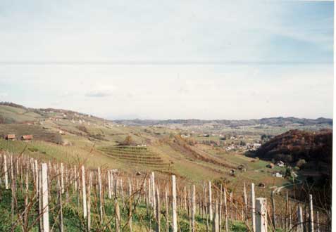 eika image